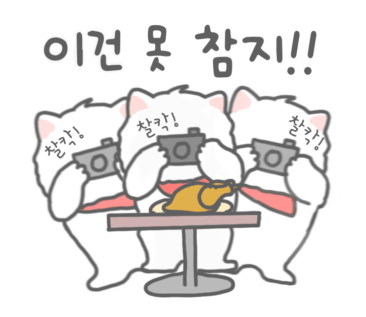 열정 사진작가 몽소미