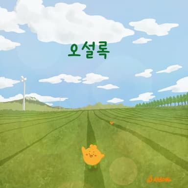 푸른 녹차밭 오설록