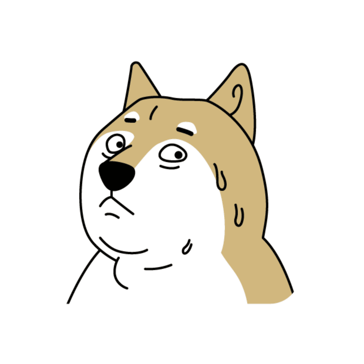 [오늘의짤] 시바 (SHIBA)