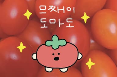 므째이 도마도