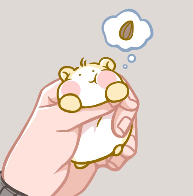 포포