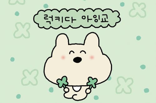 럭키다 아잉교