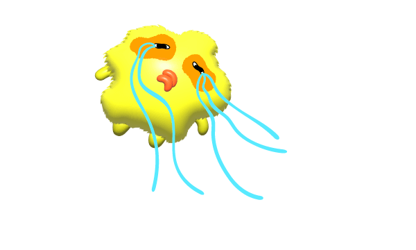 눈물