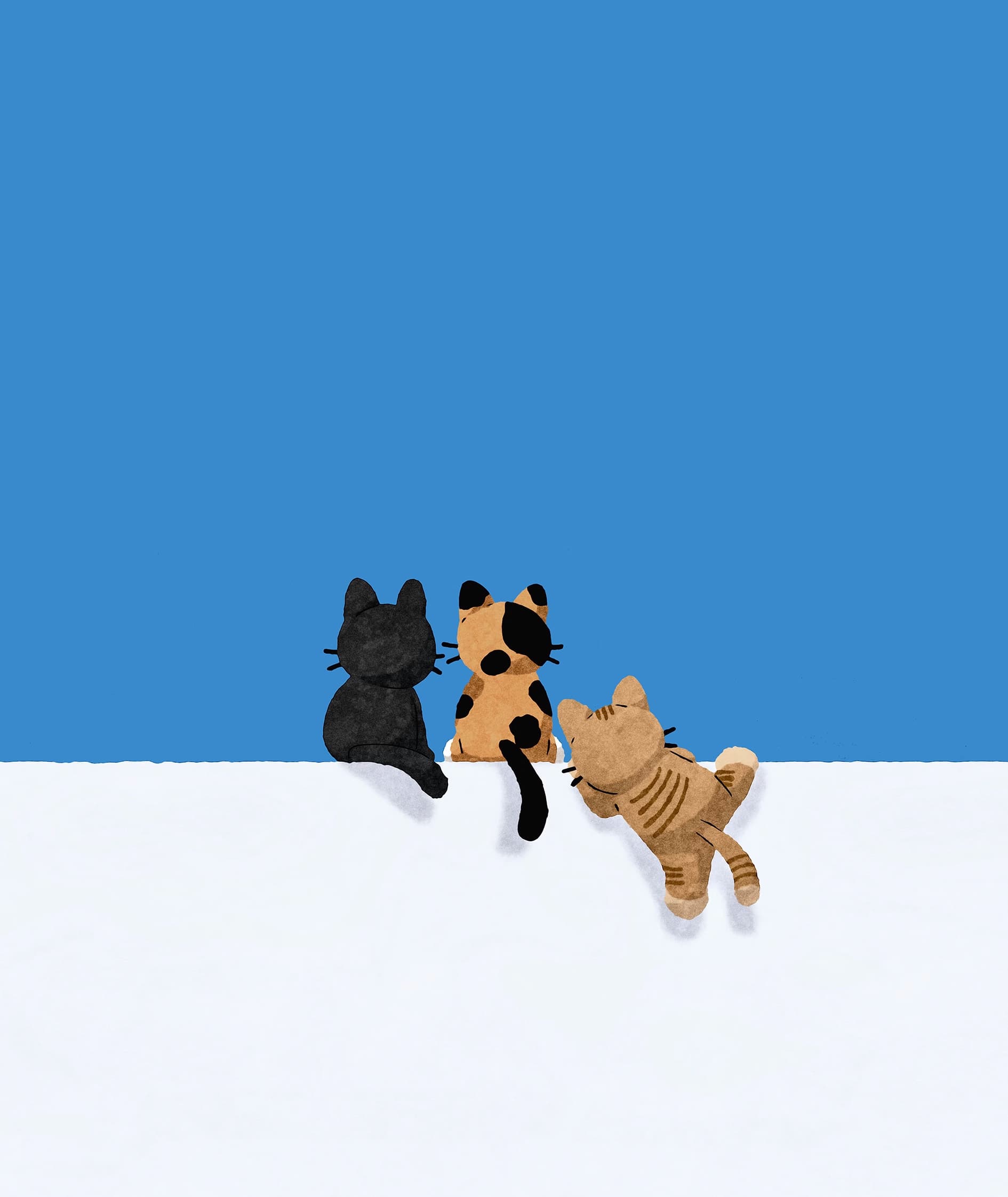 심냥즈