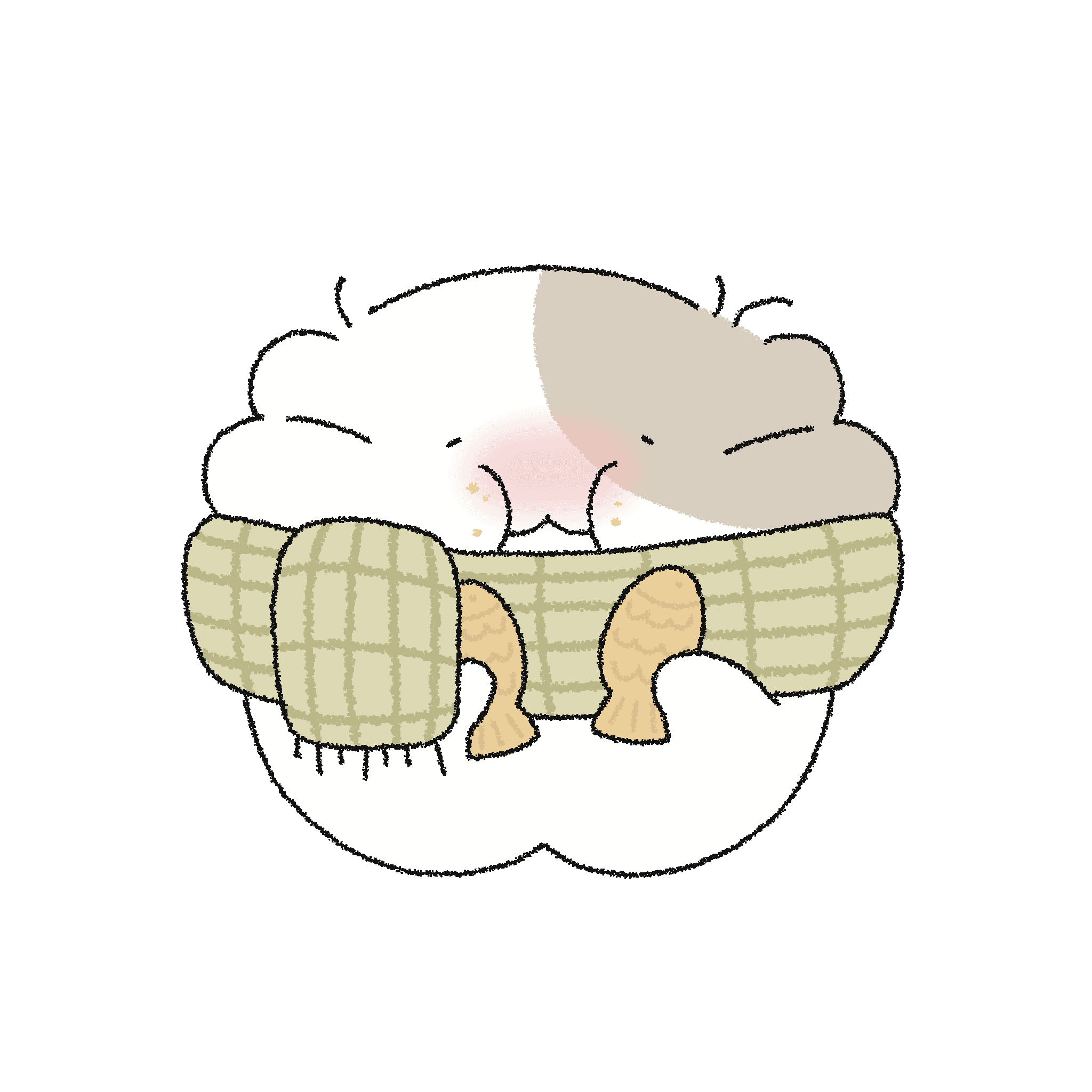 꼬질햄