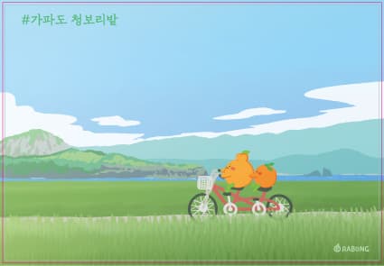 가파도 청보리밭 자전거여행