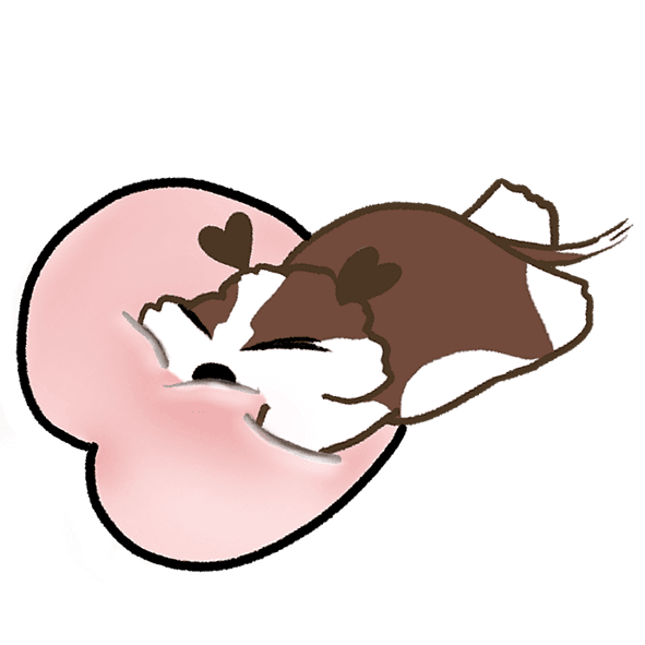 하트 쿠션