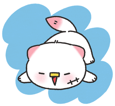 꼬냥이