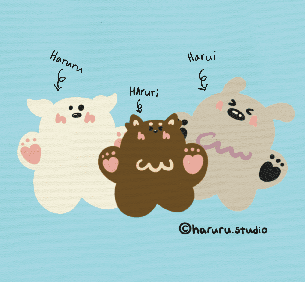 Harurustudio