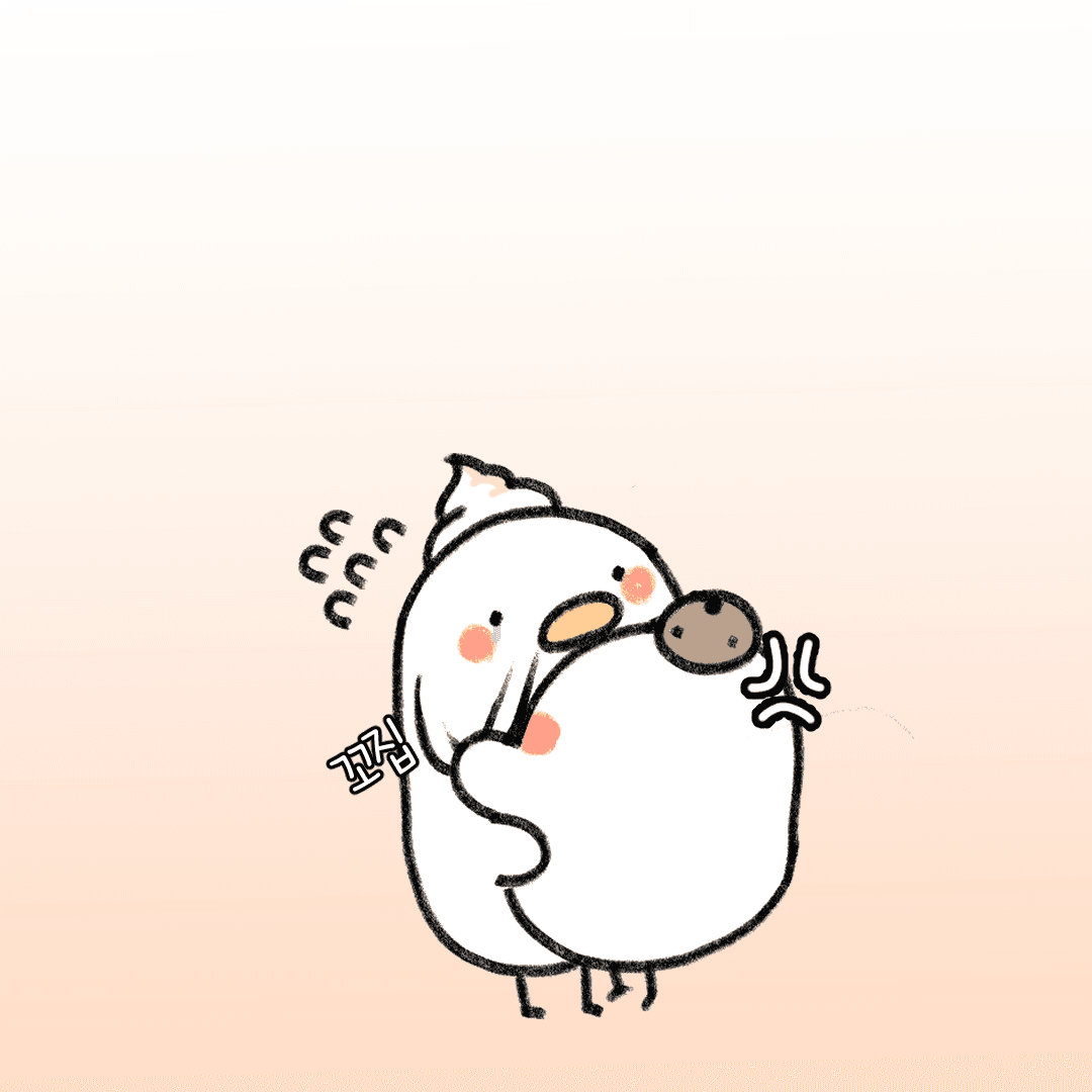 꼬집