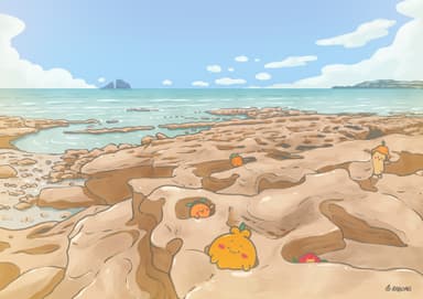 사계해변 숨바꼭질