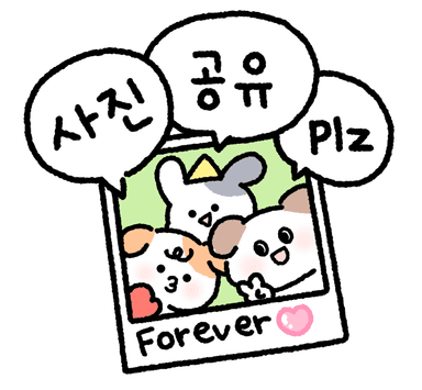 치~즈 멍뭉즈