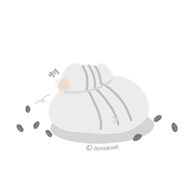 해리