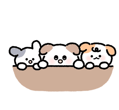 빼곰하는 멍뭉즈