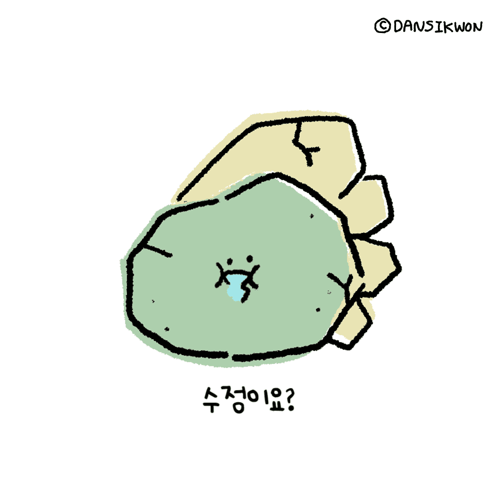 수정이요?