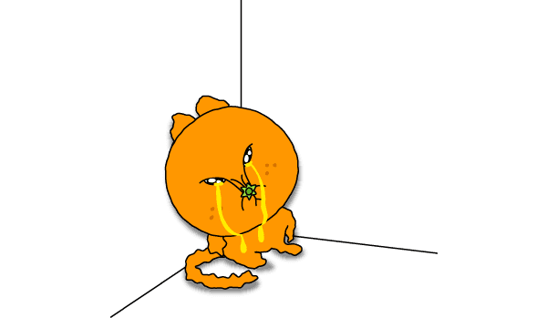 눈물