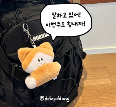 언제어디서든 날 응원해주는 소심한고양이인형 