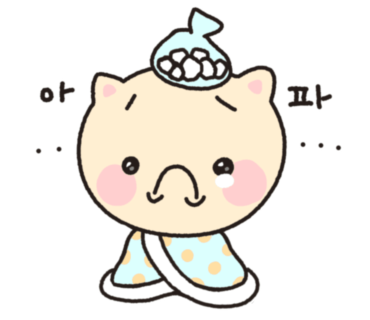 아픈 빵냥이