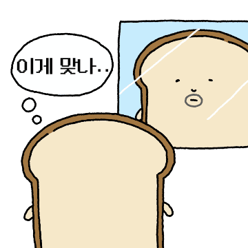 거울 보는 빵득이