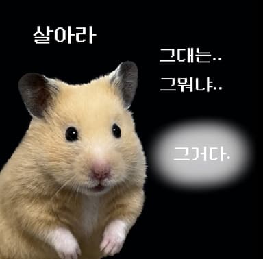 살아라 햄스터