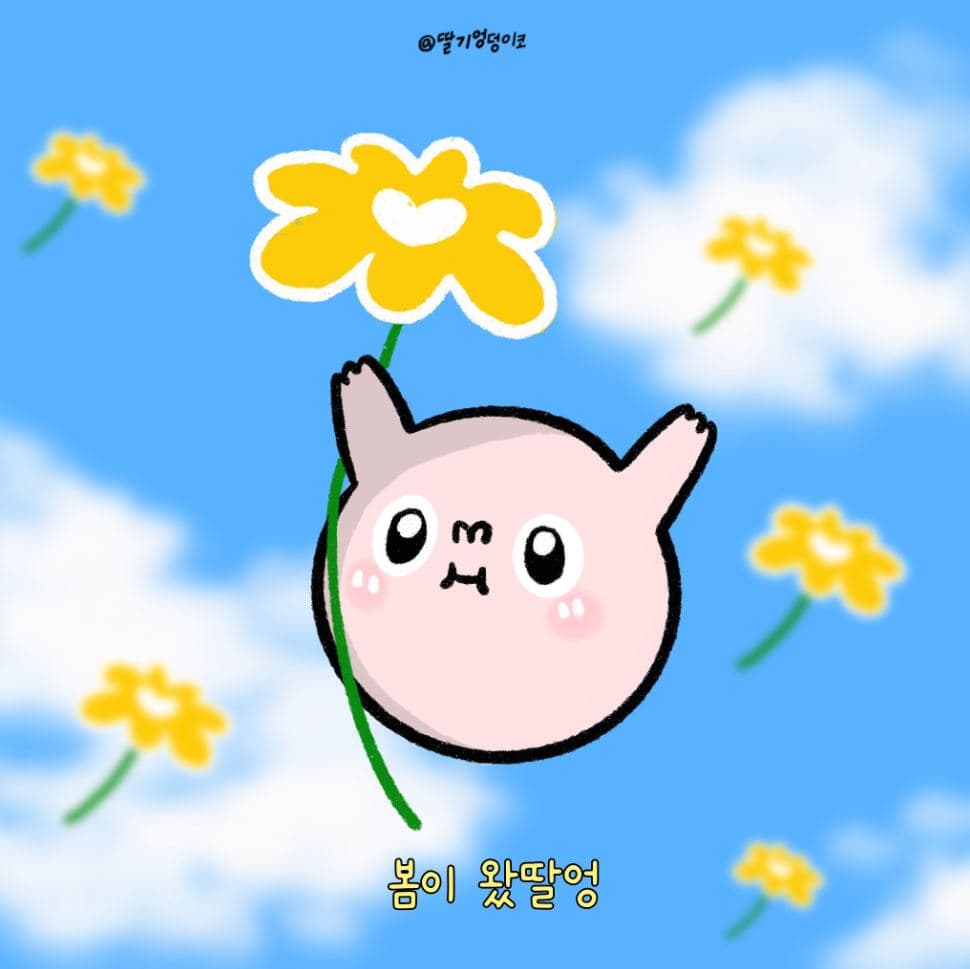 딸기엉덩이코(dalgihipco)