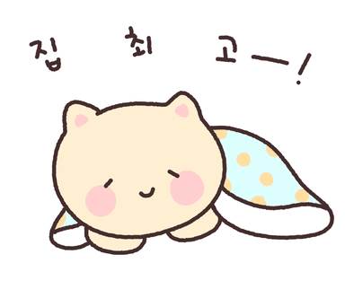 집순이 빵냥이