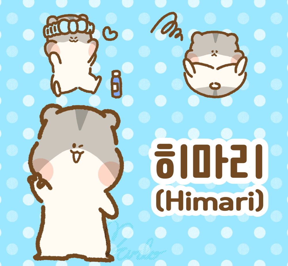 히마리(Himari)