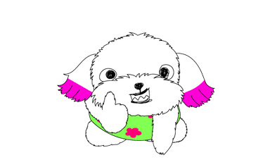컴온