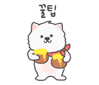 꿀팁 전수하는 몽소미