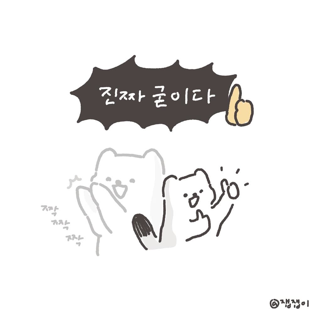 잽잽이는 굳이다