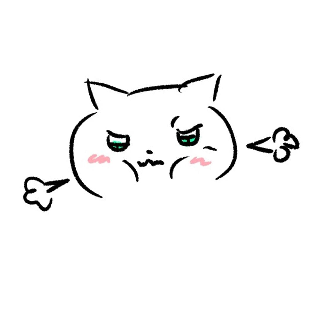 화난 여리냥