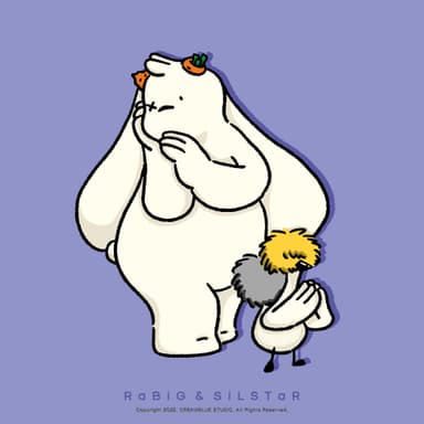 라빅 / 실스타