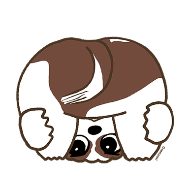 궁둥이 까꿍