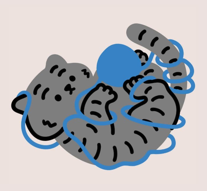 흑호 뚱랑이 TAFFEE