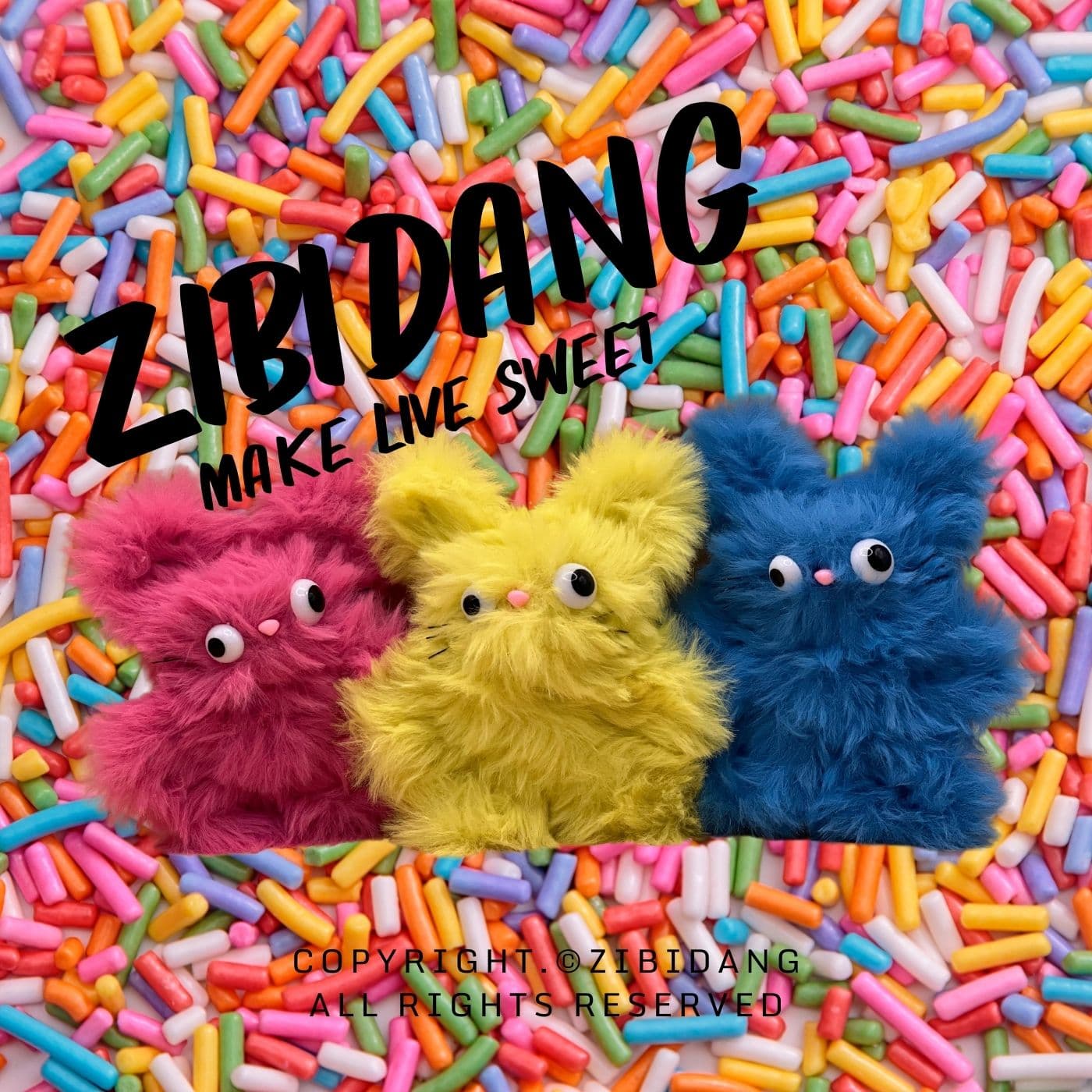 ZIBIDANG