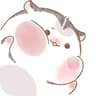 하야루비_hayaruby