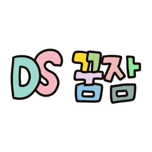 DS 꿈잠