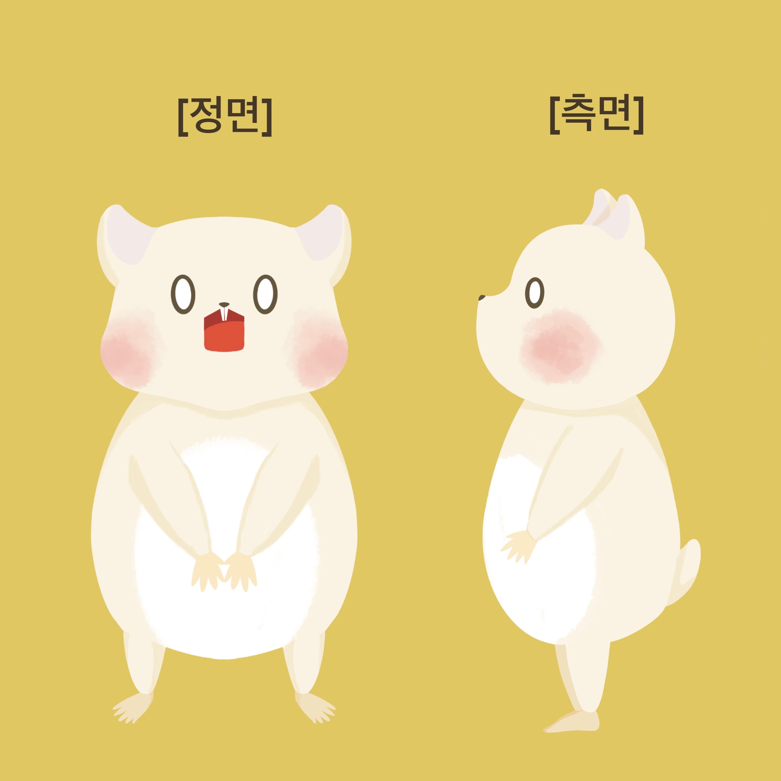 ジュディ