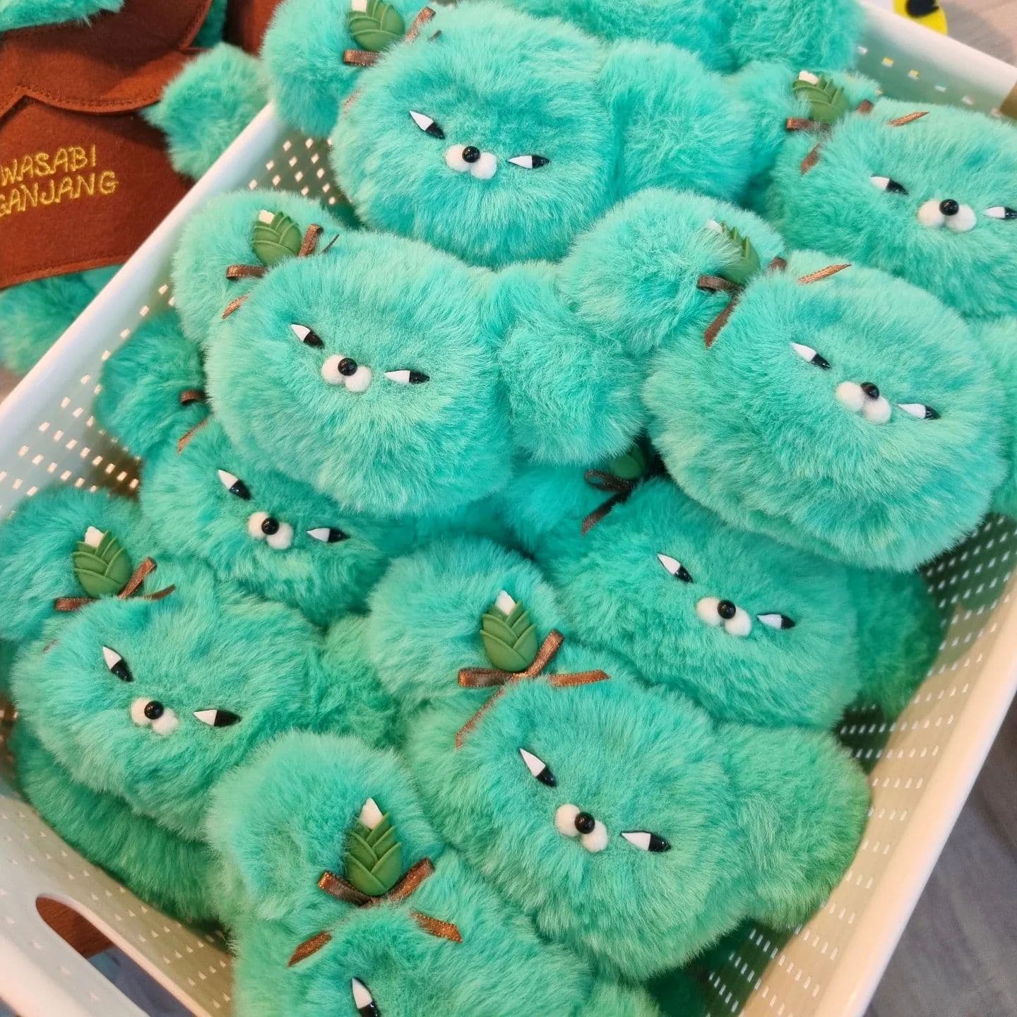 Wasabi Bear
