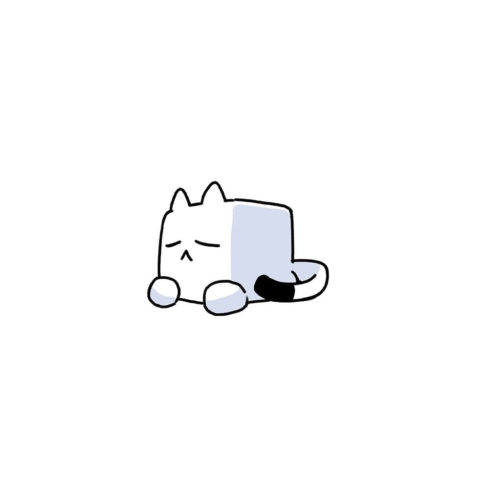 바스켓(bascat)