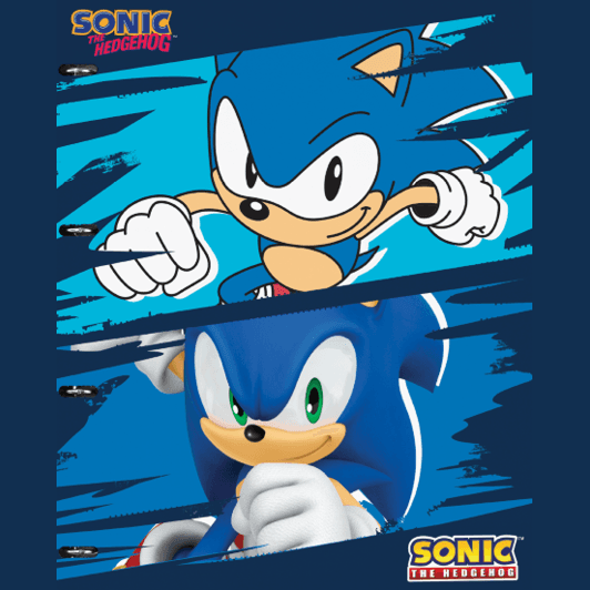 소닉(Sonic the Hedgehog)
