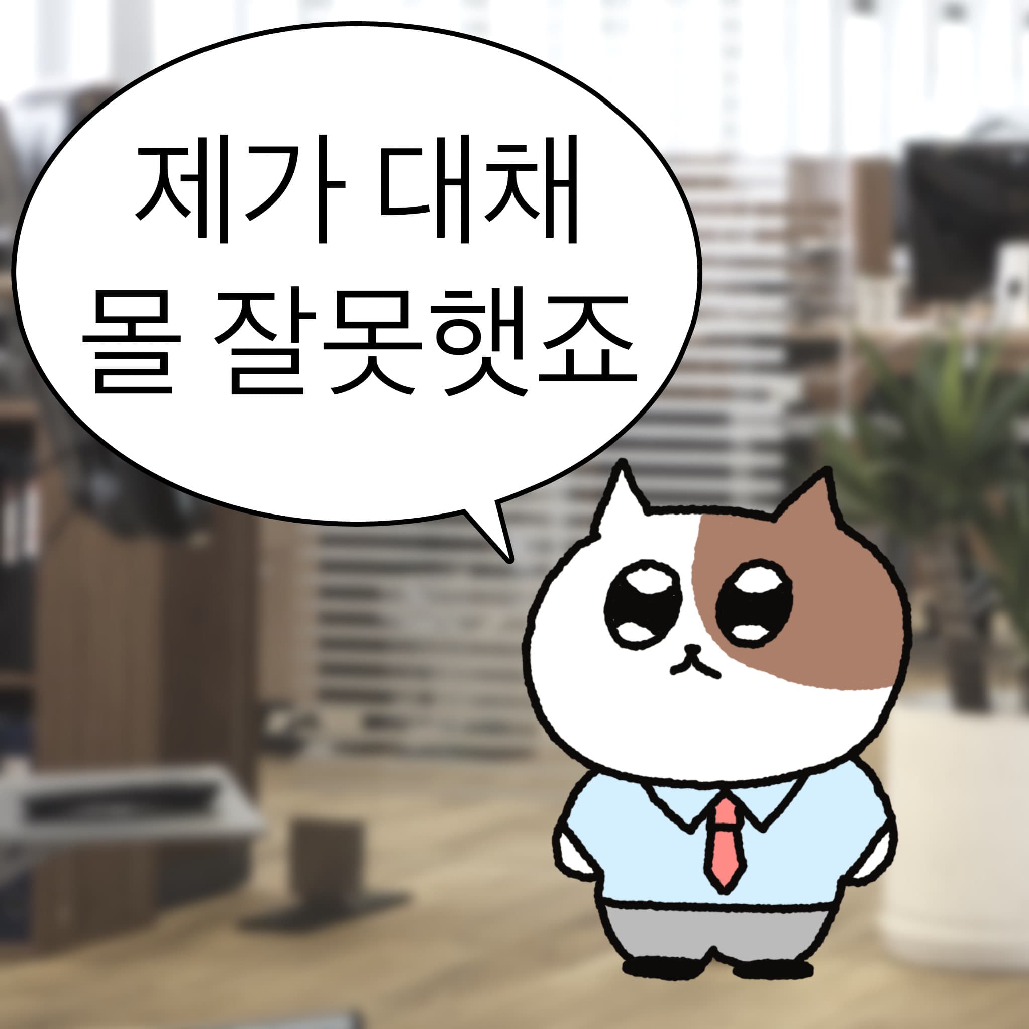 헤다씨