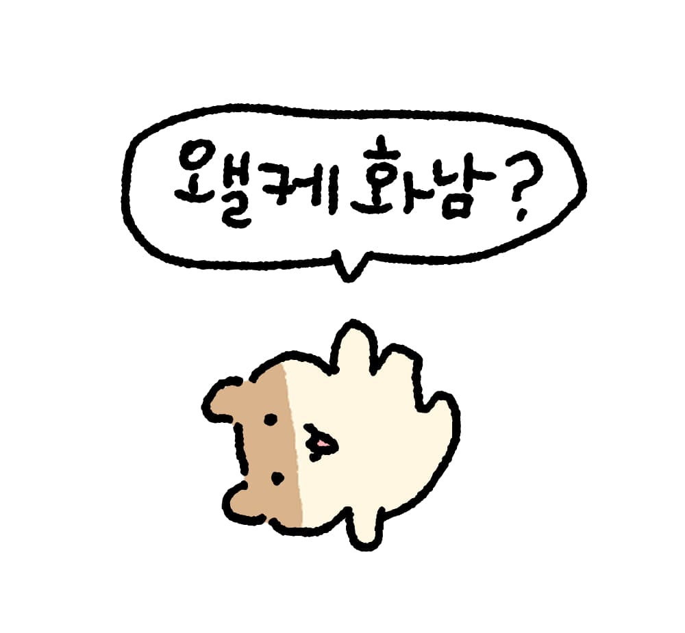 빵꼬