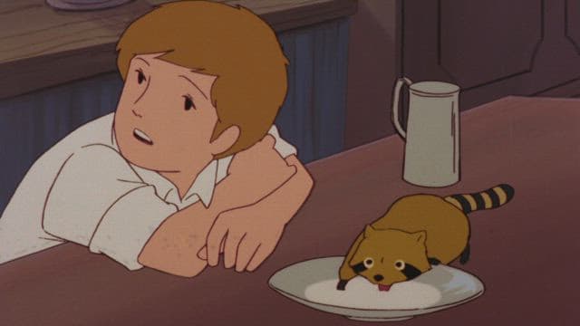 꼬마 너구리 라스칼