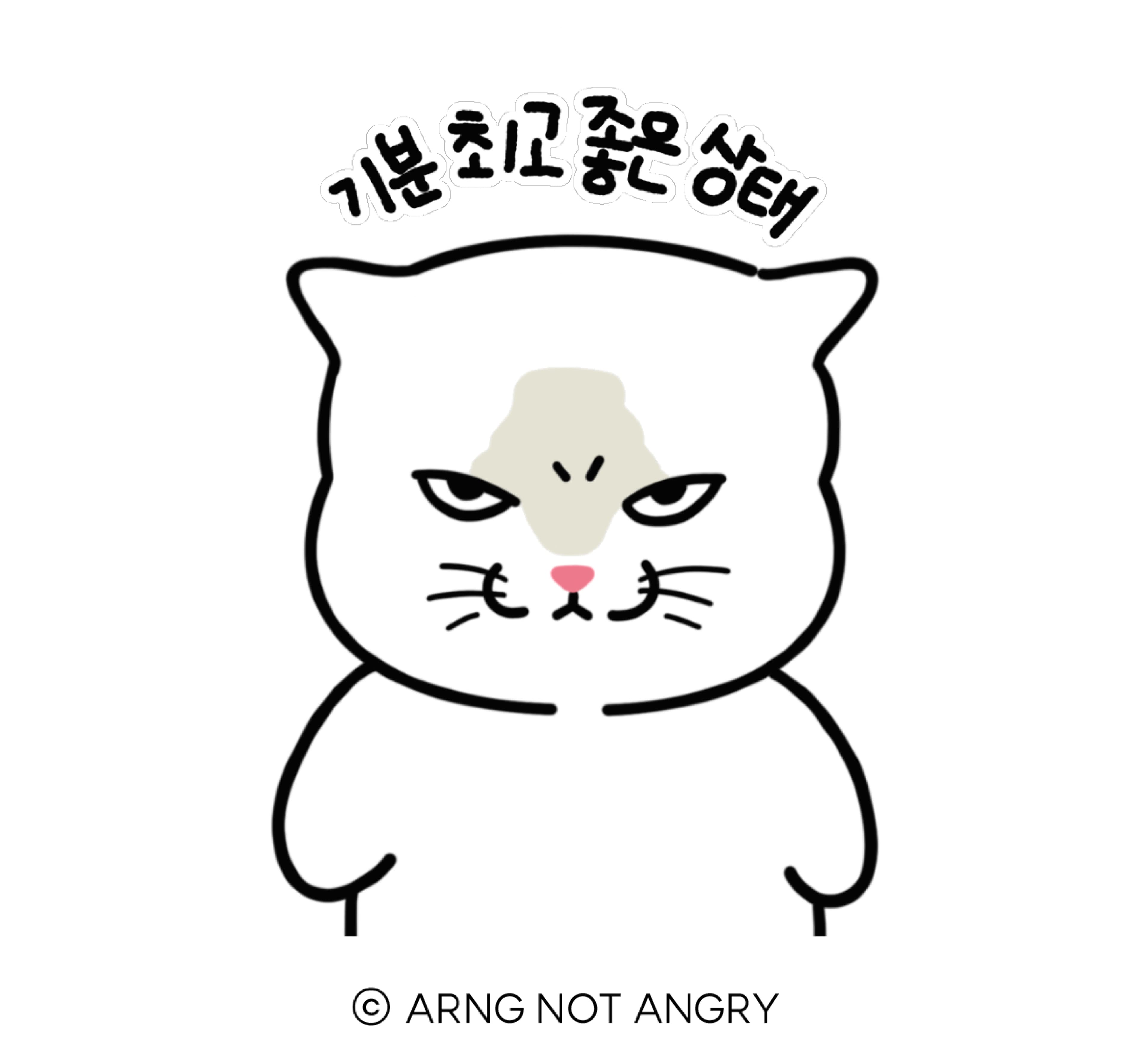아릉이(arng)의 이미지